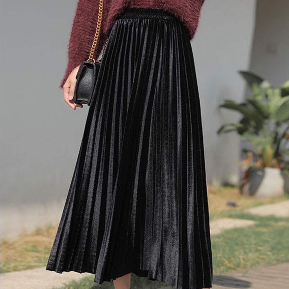 Velvet Pleated Skirt - Picture 7 of 11